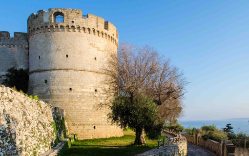 Aragonese Castle